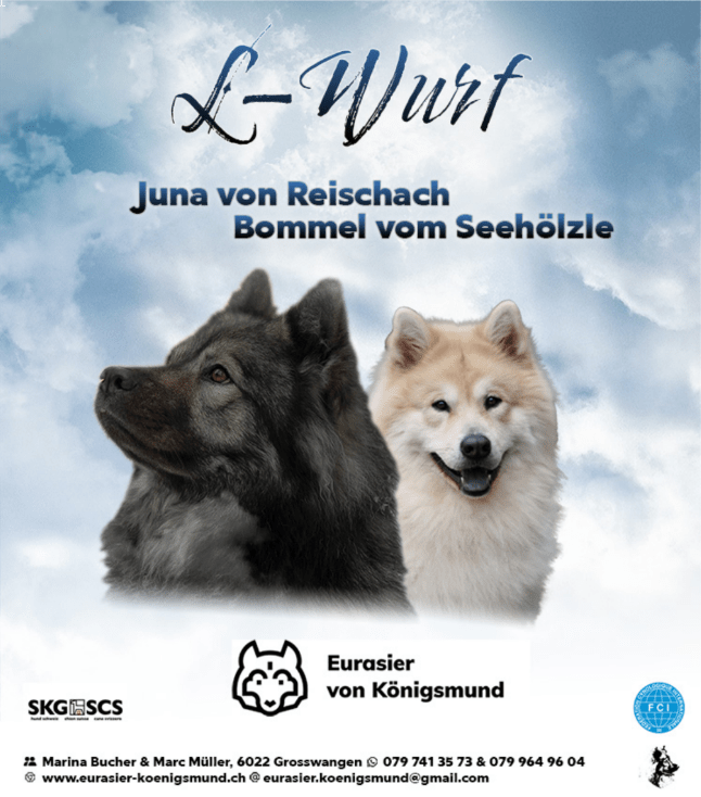 L-Wurf Bild