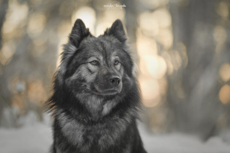 Juna Portrait